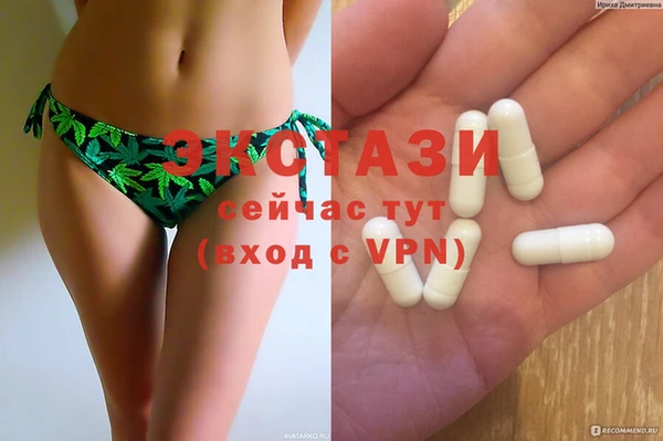 индика Коряжма