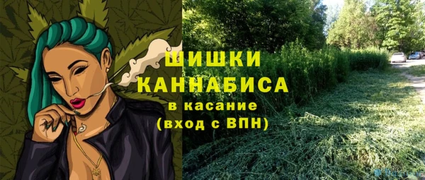 гашик Козловка