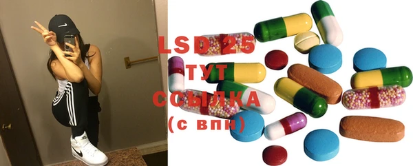 индика Коряжма