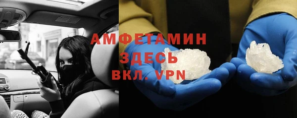 гашик Козловка