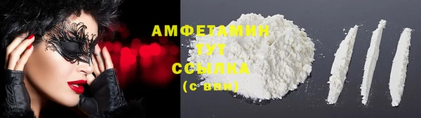 индика Коряжма