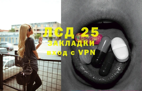 индика Коряжма