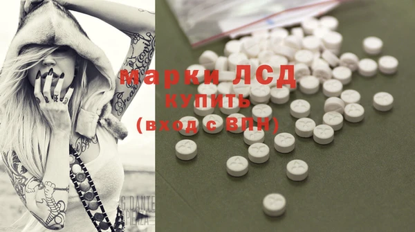 спайс Кодинск