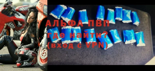 гашик Козловка