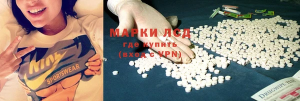 спайс Кодинск