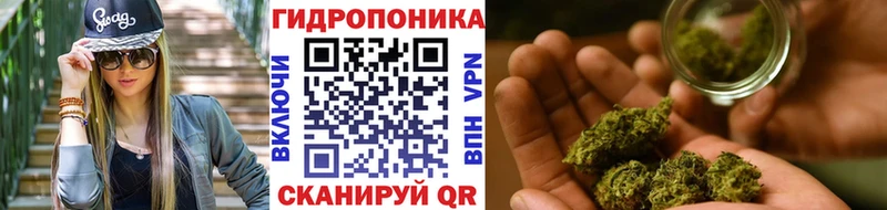 где купить наркотик  Плёс  МАРИХУАНА ГИДРОПОН 